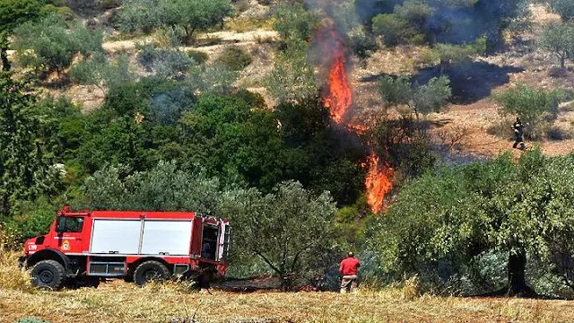 Πυρκαγιά στη Μεγαλόπολη Αρκαδίας