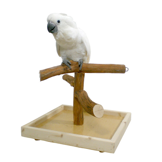 Bird Training Perch