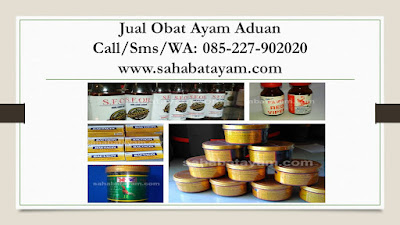 Obat Ayam Habis D Adu, Obat Ayam Habis Di Tarung, Obat Ayam Habis Diadu, Obat Ayam Habis Laga, Obat Ayam Habis Sabung