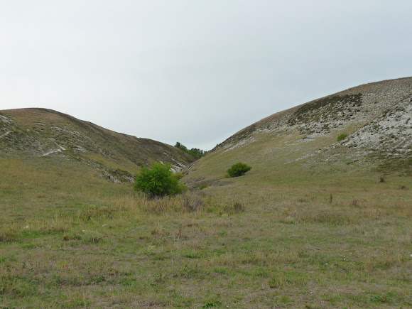 Білокузьминівські скелі. Пам'ятник природи. Донецька область