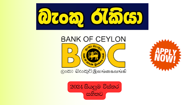 Bank of Ceylon/job vacancy 2024