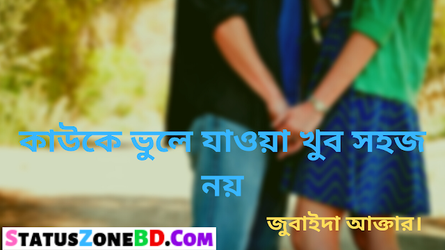 কাউকে ভুলে যাওয়া খুব সহজ নয় - Bangla Poem | Bangla Sad Status