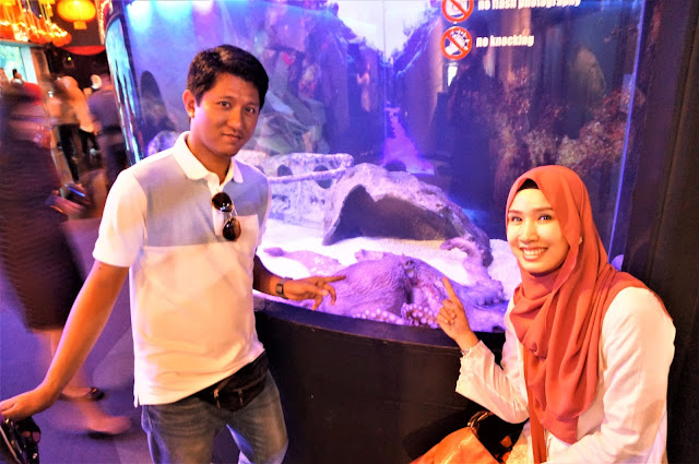 Had An Aqualicious Amazing Experience At Aquaria, KLCC