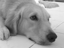 My Love