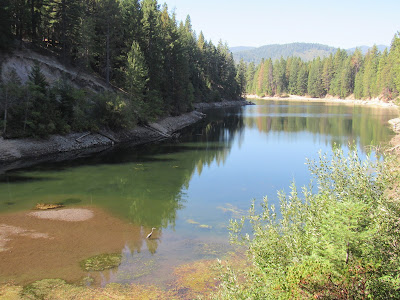 lake siskiyou mt shasta california