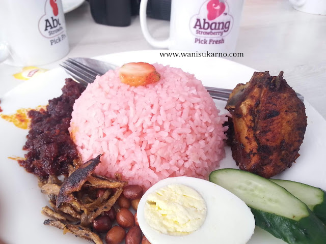 nasi lemak strawberry cameron highlands