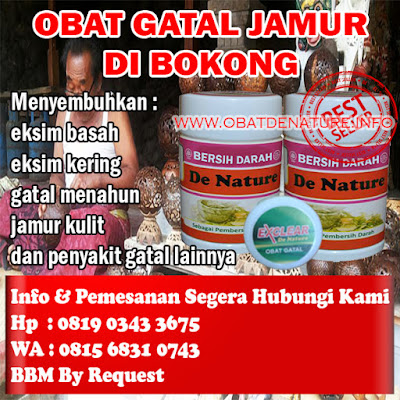 OBAT GATAL JAMUR DI BOKONG