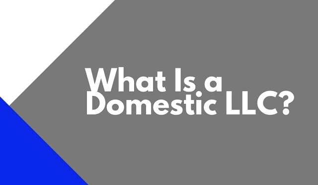 facts of domestic limited liability company llc