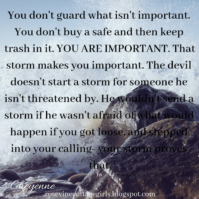 You don't guard what isn't important. You don't buy a safe and then keep trash in it. YOU ARE IMPORTANT. That storm makes you important. The devil doesn't start a storm for someone he isn't threatened by. He wouldn't send a storm if he wasn't afraid of what would happen if you got loose, and stepped into your calling- your storm proves that. 