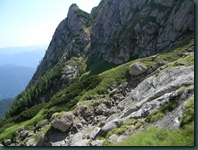DSCN3254