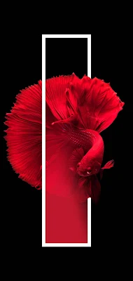 Wallpaper For Phone Fish, Red, Abstract, Dark