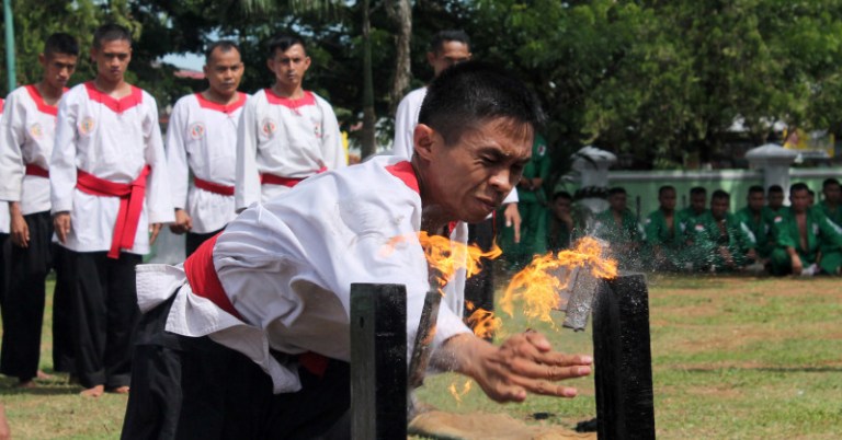 Terbaru Psht Merpati Putih