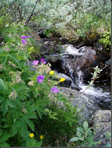 reinsjøen 021