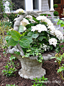 Summer Urn Planter Container Garden Hydrangea Lavender Rose Ivy Grey White Green Pink Purple