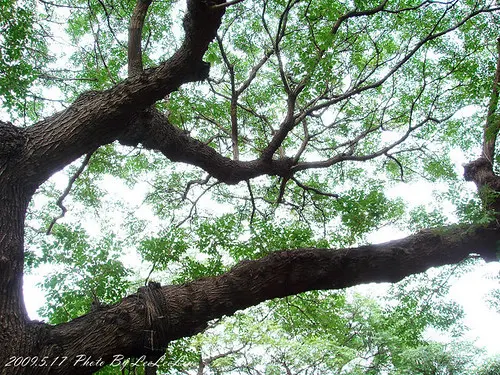 林家花園｜來青閣-方鑑齋-汲古書屋｜新北板橋古蹟