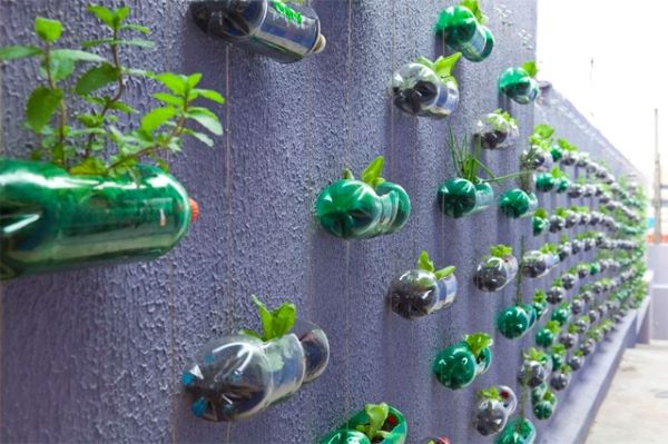 Hanging Bottle garden made from plastic bottles turned on their sides