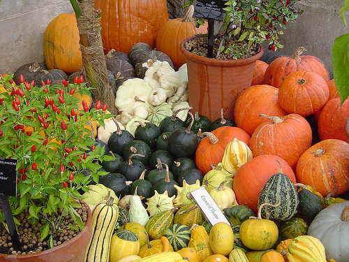 Autumn Vegetables4