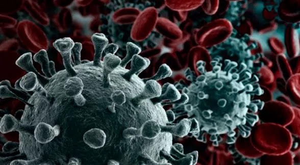 SJB tem 27 novos casos de coronavírus em 24h