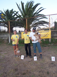 43º Troféu de Agility