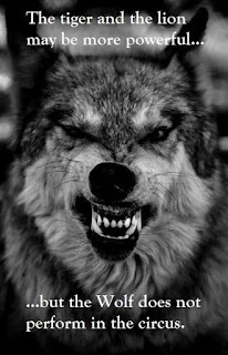 Wolf Lion Quotes