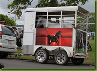 horse cart