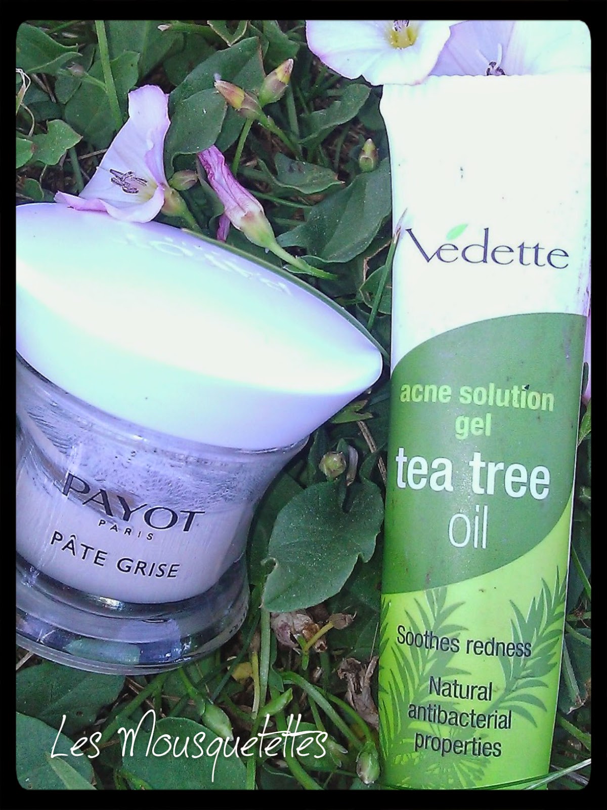 Pâte Grise Payot VS Tea Tree Oil Vedette - Les Mousquetettes©