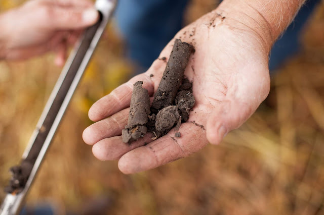 fall soil sampling