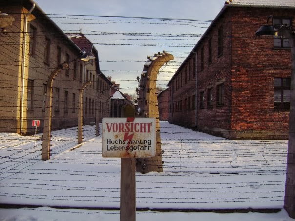 auschwitz birkenau elektrikli teller