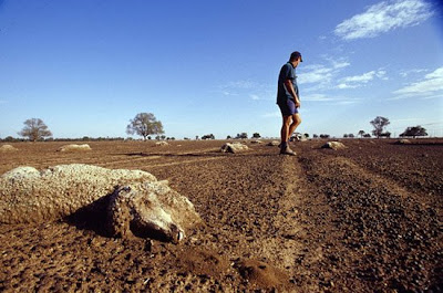 Foto-foto Musim Kemarau Yang Mengerikan [ www.BlogApaAja.com ]