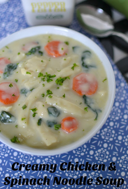 Such a great comfort food for fall and winter! This soup is packed with tons of vegetables and is so delicious! Homestyle Creamy Chicken and Spinach Noodle Soup Recipe from Hot Eats and Cool Reads