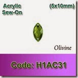 H1AC31 copy