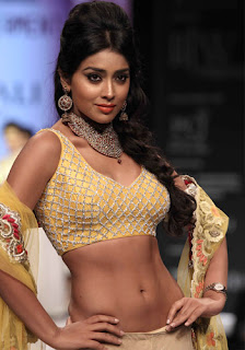 Shriya Saran - Wallpapers