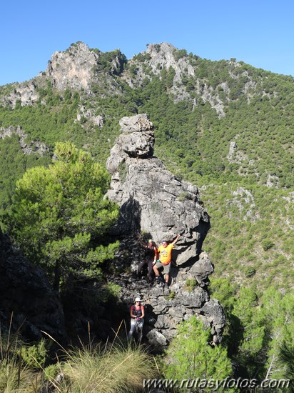 Area recreativa los Sauces - Peñón de Ronda