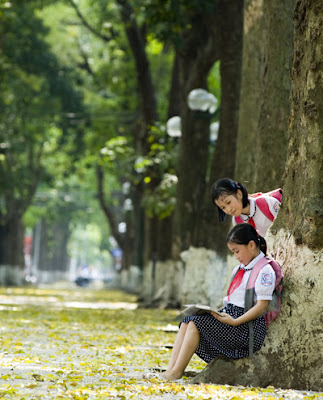 Hanoi in May - A time for trees change new leaf