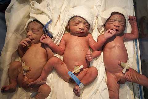 The newborn triplets of Yojaimi Garcia