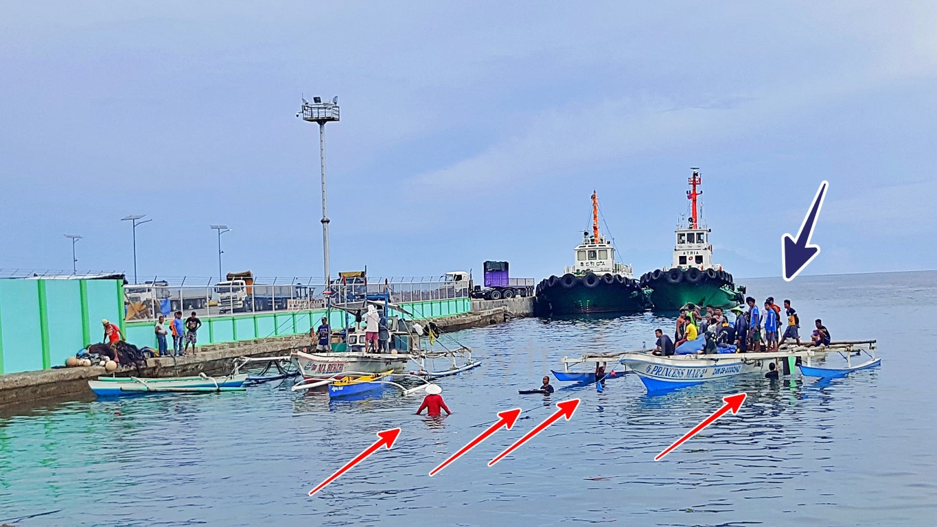 fishing boat arrives, fishmongers and whisperers meet them