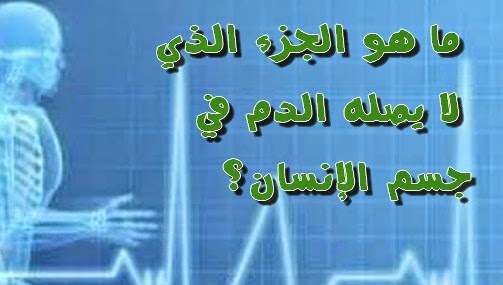 ثقافة عامة ما هو الجزء الذي لا يصله الدم في جسم الإنسان