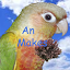 This is an image of Quaker. He is the official logo of An Makes. You can also read An Makes in blue.