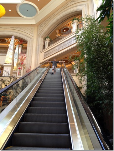 vegaserte