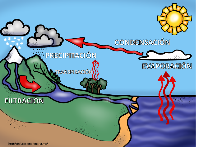 Resultado de imagen de EL CICLO DEL AGUA