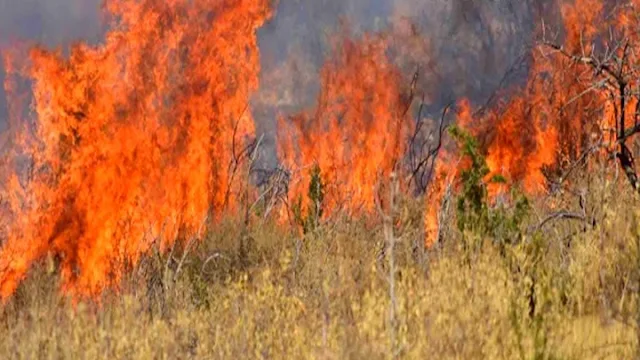 Διεύθυνση Πυροσβεστικών Υπηρεσιών Αργολίδας: Απαγόρευση χρήσης πυρός και καύσης αγροτικών εκτάσεων