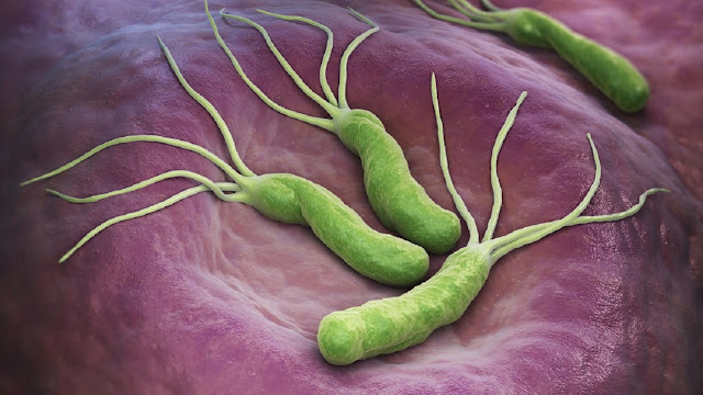 Helicobacter Pylori Diagnostics Market