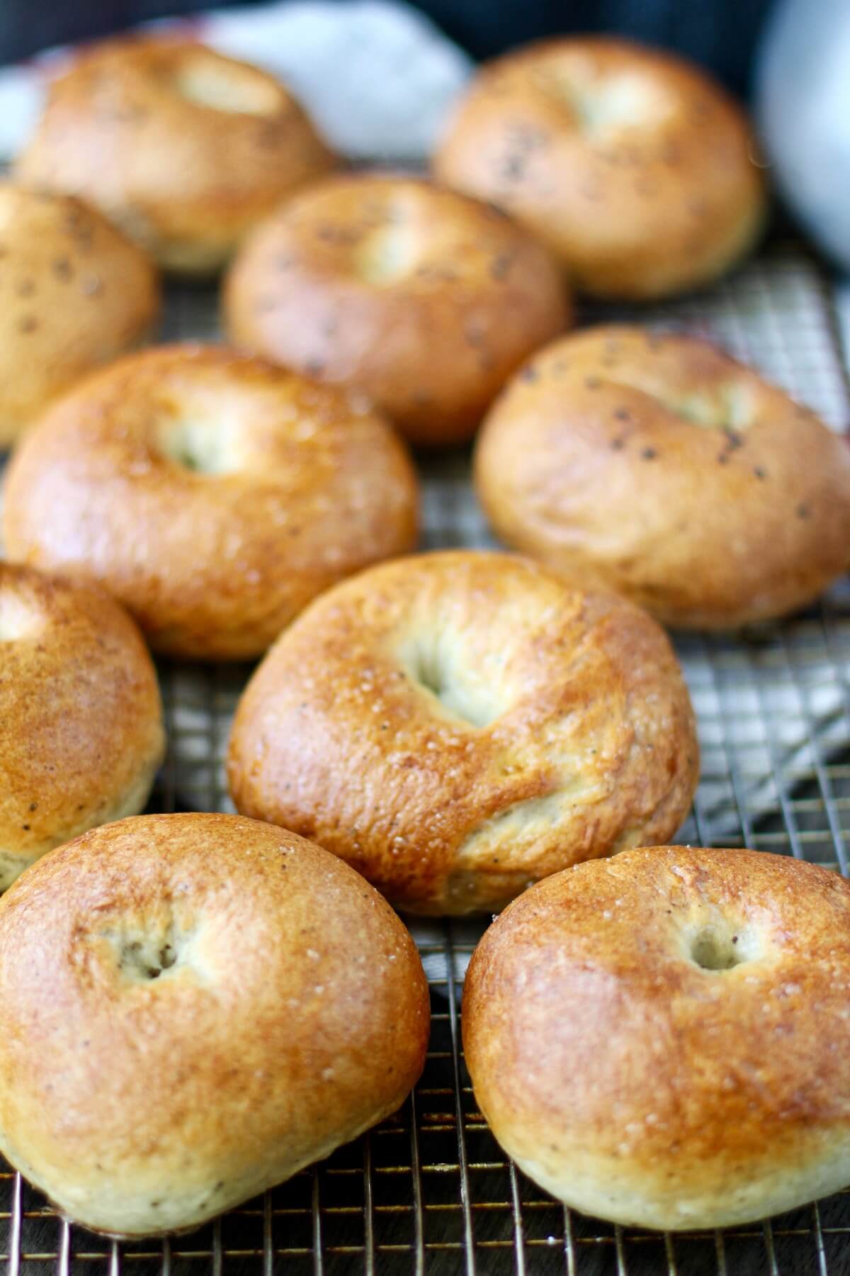 Bagels cooling on a rack.