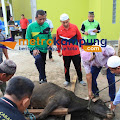 Kemenag Batubara Sembelih 6 Ekor Sapi Qurban