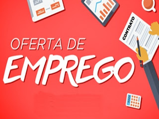 Todos os anos cerca de 300 mil jovens moçambicanos atingem a idade economicamente activa e procuram o seu primeiro emprego. Durante 39 anos de independência o sector público e privado criou somente 1.366.738 postos de trabalho mas o Presidente Filipe Jacinto Nyusi propôs-se, através do seu plano quinquenal, a criar em apenas cinco anos 1.483.562 novos empregos.