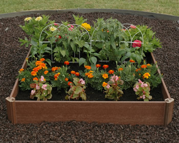 Raised Bed Vegetable Garden Kits