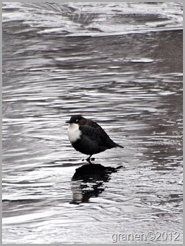 P3157265