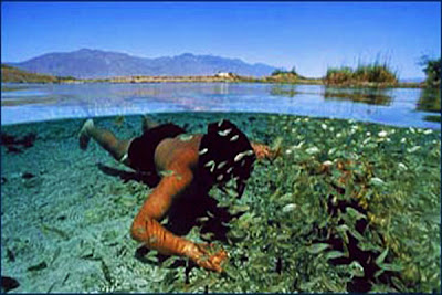 Mexico Tourist Attractions Mexico Tourist Attractions