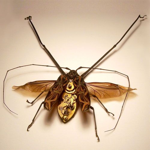 mechanical insect art by Mike Libby