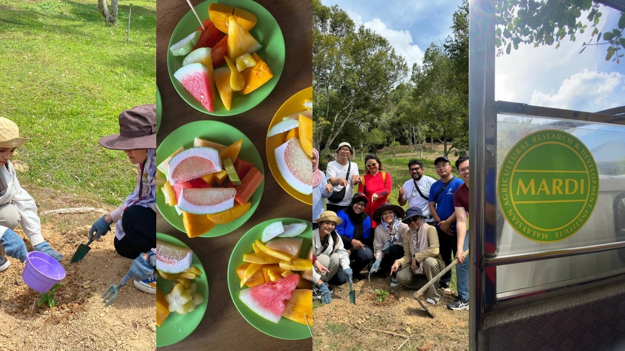 Meneroka Keindahan dan Kepelbagaian di Taman Agroteknologi MARDI Langkawi!